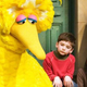 Image for article titled Million Muppet March to show Mitt Romney the puppet blood he would have on his hands